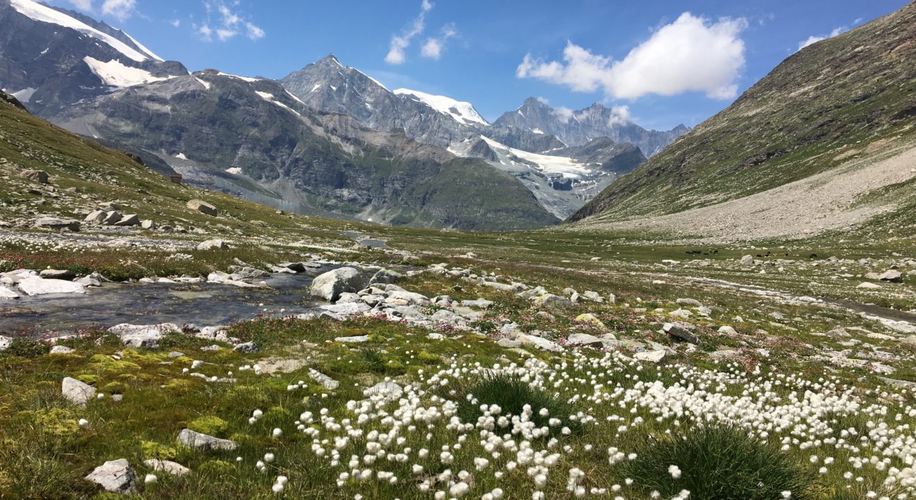 Création des Éditions Savitri