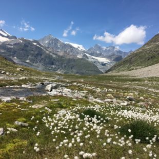 Création des Éditions Savitri